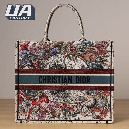 Dior Book Tote Bag
