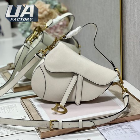 Dior Saddle Bag