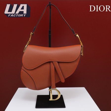 Dior Saddle M0446